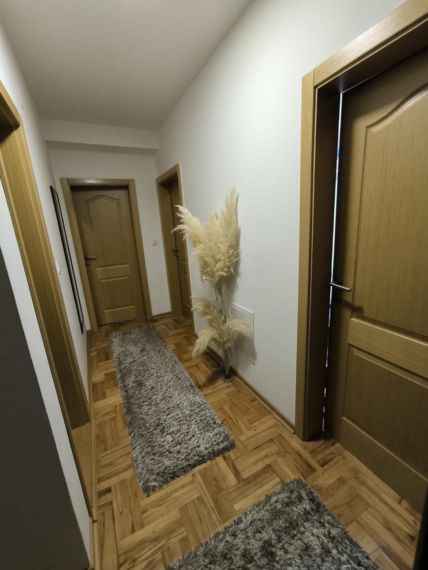 Apartman Zivic Ni Buitenkant foto